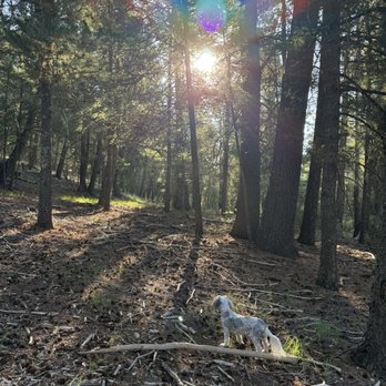 Lincoln National Forest - Campgrounds Near Me - Mayhill, New Mexico Lincoln National Forest - Campgrounds Near Me - Mayhill, New Mexico