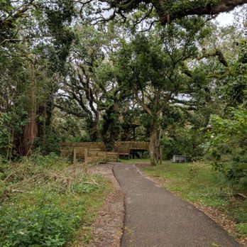 Tree Tops Park - Path to the viewing tower - Parks Near Me - Davie, Florida Tree Tops Park - Path to the viewing tower - Parks Near Me - Davie, Florida