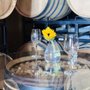 Photo of Icon Cellars