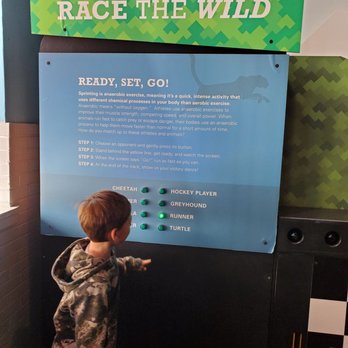Imagination Station - Race the Wild - a fun area to run against various animals (their speed is displayed in green lights) - Children's Museums Near Me - Wilson, North Carolina Imagination Station - Race the Wild - a fun area to run against various animals (their speed is displayed in green lights) - Children's Museums Near Me - Wilson, North Carolina