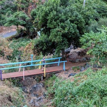 Dragonfly Ranch - Bed & Breakfast Near Me - Captain Cook, Hawaii