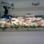 Photo of Pescaderia Paco Vela