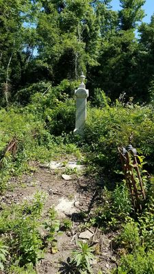 Evergreen Cemetery by null
