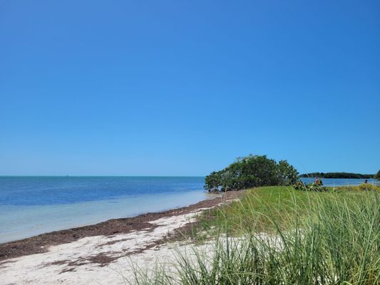 Curry Hammock State Park by null