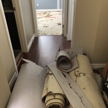 My Flooring Guy - In the process of ripping out my old, nasty carpet. Woohoo! - Flooring Near Me - Los Angeles, California My Flooring Guy - In the process of ripping out my old, nasty carpet. Woohoo! - Flooring Near Me - Los Angeles, California