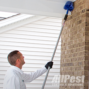 All Pest Control - Pest Control Near Me - Christiansburg, Virginia All Pest Control - Pest Control Near Me - Christiansburg, Virginia