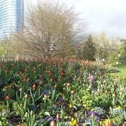 Parc Omnisport Suzanne-Lenglen - Fleurs de printemps.