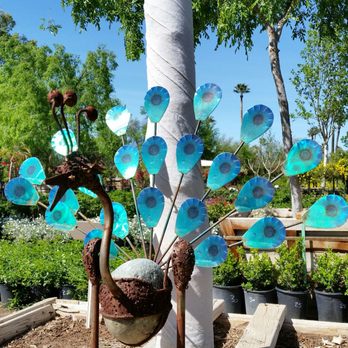 Whitfill Nursery - Nurseries & Gardening Near Me - Phoenix, Arizona Whitfill Nursery - Nurseries & Gardening Near Me - Phoenix, Arizona