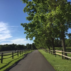 The Nature Conservancy