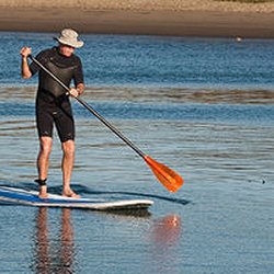 Lighthouse Marina - Paddleboard Rentals