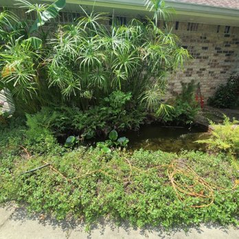 NWFL Aquatic Technician - Aquarium Services Near Me - Milton, Florida NWFL Aquatic Technician - Aquarium Services Near Me - Milton, Florida