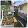 Tena’s Lawn Maintenance
