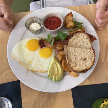 Madi - The gringo - Breakfast & Brunch Near Me - San Diego, California Madi - The gringo - Breakfast & Brunch Near Me - San Diego, California