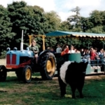 Odds Farm Park - Zoos Near Me - High Wycombe, BKM Odds Farm Park - Zoos Near Me - High Wycombe, BKM