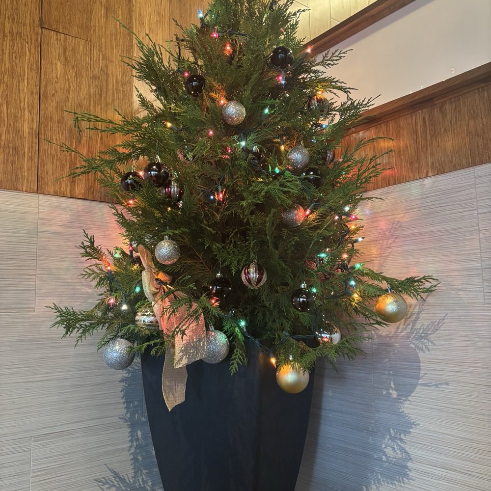 Chokdee Thai Cuisine of Manor - Christmas tree - Thai Near Me - Manor, Texas