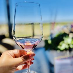 Eberle Winery - the estate has complimentary tasting and cave tour. Needs to be booked in advance.