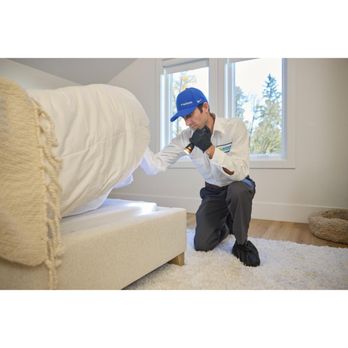 Axiom Eco-Pest Control - Pest Control Near Me Axiom Eco-Pest Control - Pest Control Near Me