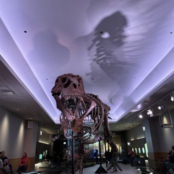 Field Museum - Museums Near Me - Chicago, Illinois Field Museum - Museums Near Me - Chicago, Illinois