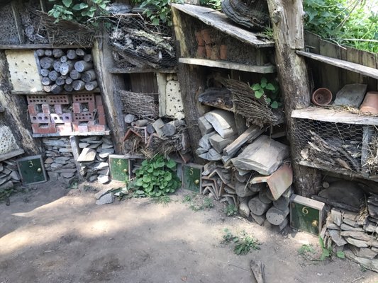 The Lost Gardens of Heligan by null