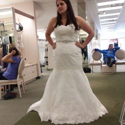 David's Bridal