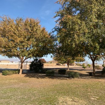 Spring Landscaping - Thinned and trimmed trees - Tree Services Near Me Spring Landscaping - Thinned and trimmed trees - Tree Services Near Me