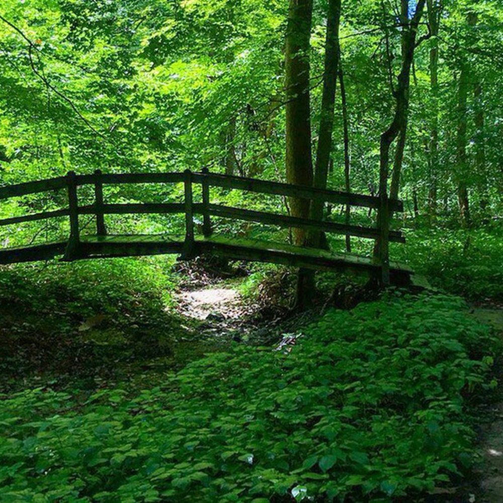 Brown County State Park - Bridge in the woods - Hiking Near Me - Nashville, Indiana Brown County State Park - Bridge in the woods - Hiking Near Me - Nashville, Indiana