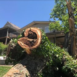 Everhart Tree Service