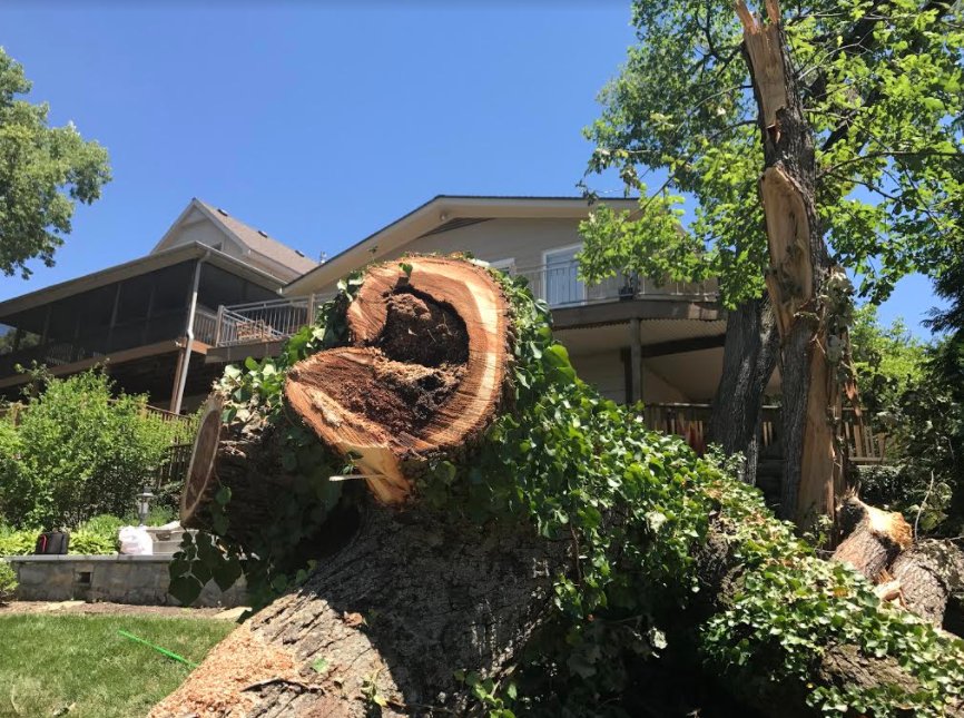 Everhart Tree Service - tree service in Kansas City, MO