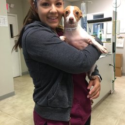 This is for the pet hotel. You called her a bad dog and turned us away. Reactive dogs aren't bad dogs. Within 10 minutes @ 4 Paws!
