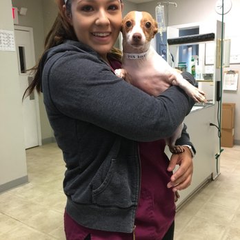 PetSmart Dog Training - This is for the pet hotel. You called her a bad dog and turned us away. Reactive dogs aren't bad dogs. Within 10 minutes @ 4 Paws! - Pet Stores Near Me - Suwanee, Georgia