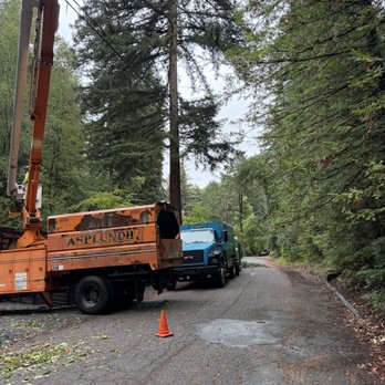 Brown’s Logging & Tree Service - Tree Services Near Me Brown’s Logging & Tree Service - Tree Services Near Me