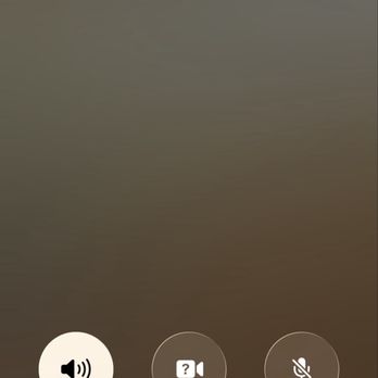 Planting Justice - This is how long I was on hold. Granted, I could have hung up, but the gossip about the boss was juicy. - Nurseries & Gardening Near Me - El Sobrante, California Planting Justice - This is how long I was on hold. Granted, I could have hung up, but the gossip about the boss was juicy. - Nurseries & Gardening Near Me - El Sobrante, California