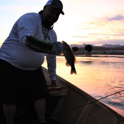 Laughlin Fishing Guide - Smallmouth Bass right at sunrise