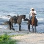 Herradura