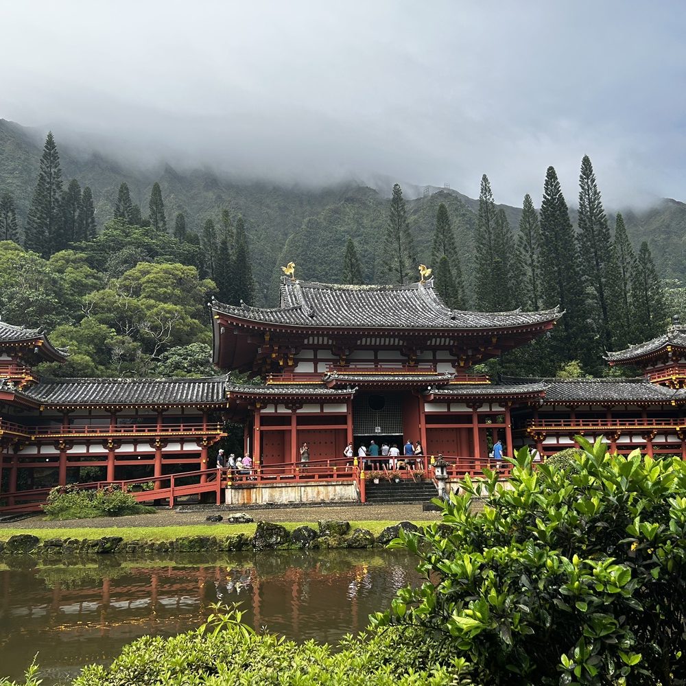 KOS Tours - Tours Near Me - Honolulu, Hawaii KOS Tours - Tours Near Me - Honolulu, Hawaii