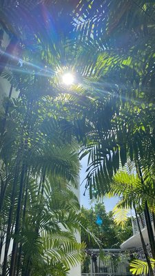 The Meridian Miami Beach by Kasa by null
