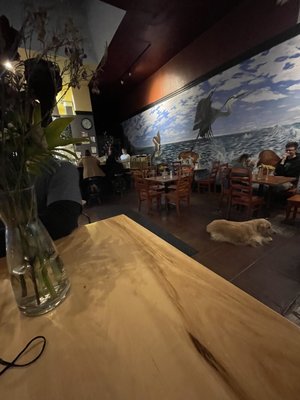Ocean Ale House by null