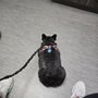 Photo of Webster Veterinary Clinic