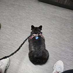 Webster Veterinary Clinic