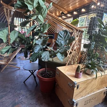Smuggler Sisters - Beautifully decorated inside- very comfortable vibe - Ice Cream & Frozen Yogurt Near Me - Sedro-Woolley, Washington Smuggler Sisters - Beautifully decorated inside- very comfortable vibe - Ice Cream & Frozen Yogurt Near Me - Sedro-Woolley, Washington