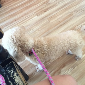 petcare express holcombe