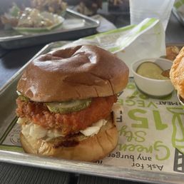 Spicy chicken sandwich (NEW ITEM) Spicy chicken sandwich (NEW ITEM)