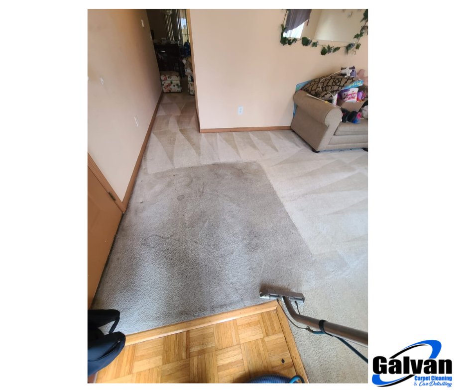 GALVAN CARPET CLEANING & CAR DETAILING Updated September 2024 15