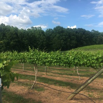 Rocky River Vineyards - View Of Vineyard - Wineries Near Me - Midland, North Carolina Rocky River Vineyards - View Of Vineyard - Wineries Near Me - Midland, North Carolina