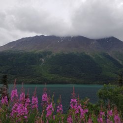 Frontier Excursions & Adventures - Yukon