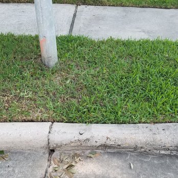 GreenForce Pest Solutions - undefined - Pest Control Near Me - Spring, Texas