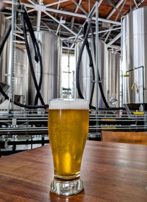 Faction Brewing by null