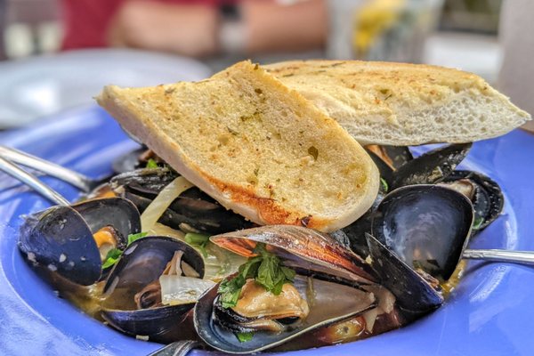 Dixie Fish Company by null