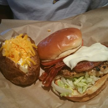 Cheddar's Scratch Kitchen - Maple Bacon Chicken sandwich. - Comfort Food Near Me - Kissimmee, Florida Cheddar's Scratch Kitchen - Maple Bacon Chicken sandwich. - Comfort Food Near Me - Kissimmee, Florida