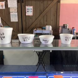 Faye Love - Ice cream sizes